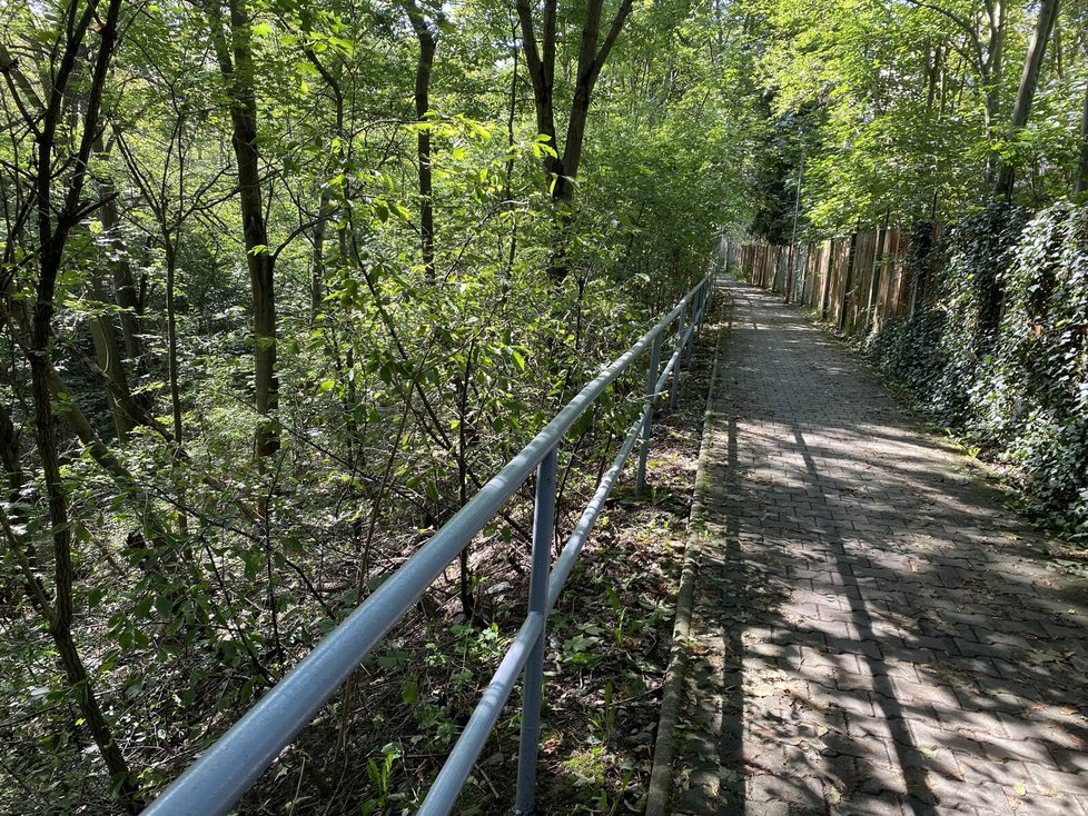 Vražda v Plzni: Z jedné strany zarostlé rokle je stezka kolem nemocniční zdi.