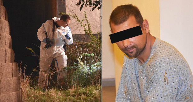 Dědečkovi (†71) zasadil 74 ran nožem! Feťák, který předstíral schizofrenii, dostal 22 let