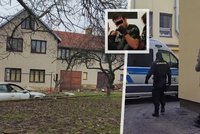 Vrazi oběť naporcovali, uvařili a zbytky vysypali do pole! Mord v Pohodlí šokoval kriminalisty