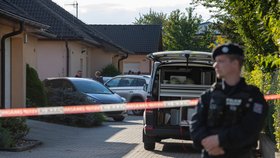 Mámu zavraždil sekerou?! Policie obvinila mladíka z Chrudimska