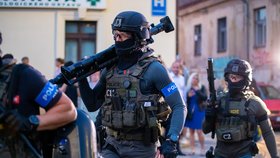 Krutá kriminální statistika v Česku: Za tři měsíce 47 vražd a 50 tisíc trestných činů