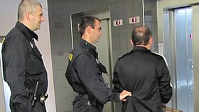 Policisté převezli z Německa do Česka vraha 36leté ženy.