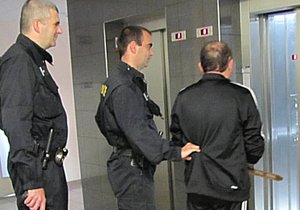 Policisté převezli z Německa do Česka vraha 36leté ženy.
