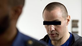 Krajský soud začal 29. srpna v Praze projednávat případ loňské brutální vraždy prostitutky v Kolíně, za kterou obžalovanému Damianu Jerzy Matysikovi (vlevo) hrozí výjimečný trest.