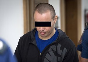 Vrah Matysik dostal za ubodání prostitutky 19 let.