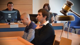 Soud poslal hlavního strůjce brutální vraždy seniora Maroše Straňáka (vlevo) na pětadvacet let za mříže.