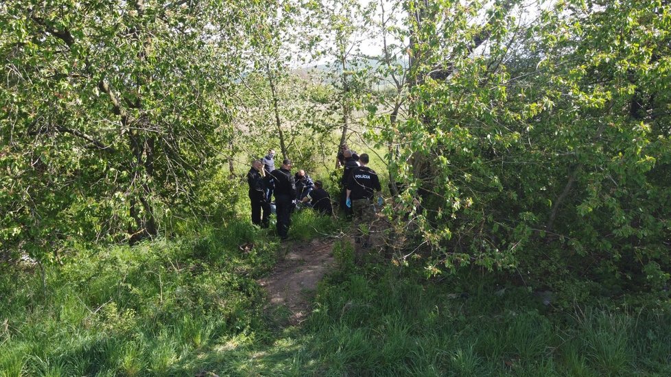 Erika policie zadržela pro podezření z vraždy.