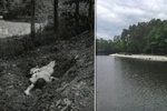 Tělo Jany Tokárové (†12) našli náhodní kolemjdoucí v Třemošenském rybníce v Plzni (vlevo ilustrační foto)
