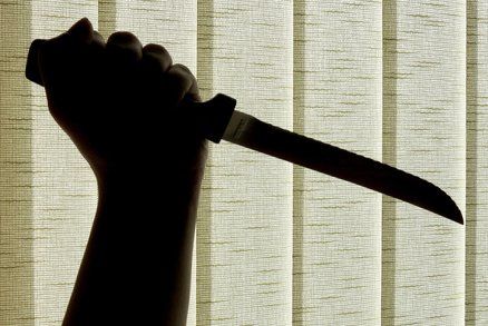 Psychicky nemocný muslim rozdával rány nožem: Ve jménu ramadánu pobodal ženu (19)