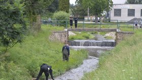 Policisté pátrali po vražedné zbrani