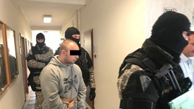 Na manžele, kteří jsou obviněni i z nedovoleného ozbrojování, policie navrhla uvalit vazbu.