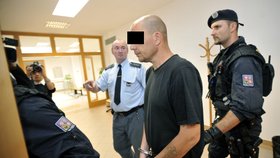 Muže zodpovědného za 13 let starou vraždu policisté zatkli letos v červnu.