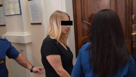 Soud poslal ženu z Břeclavska za vraždu jejích tří novorozených dětí na 24 let do vězení.