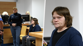 Za vraždu přítele v Otrokovicích uložil krajský soud ženě devět let vězení.