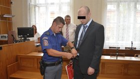Jakub H. (28) se před brněnským soudem zodpovídá z vraždy Jakuba S. (+23). V prosinci 2014 ho ubil sekerou. Hrozí mu 20 let vězení.