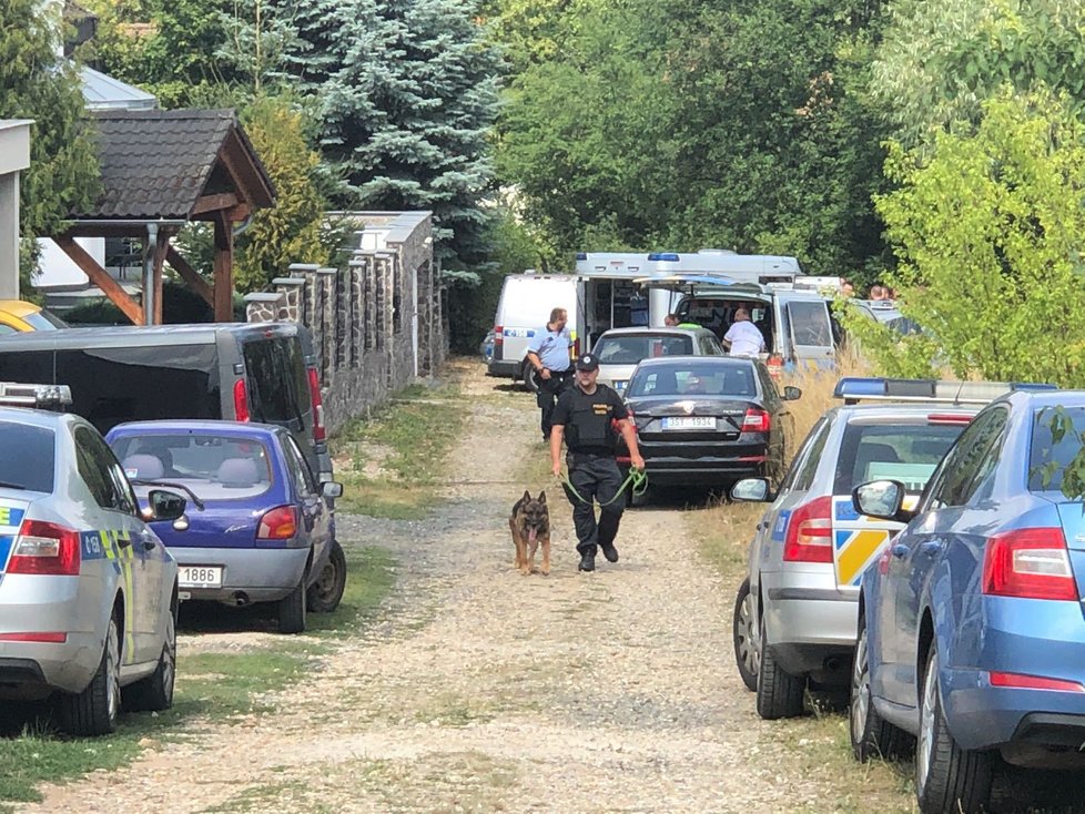 V obci Nová Hospoda byla fatálně postřelena žena do hlavy. Po převozu do nemocnice zemřela.