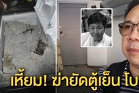 Tělo pohřešované milionářky našli v lednici: Vrah ho zalil betonem!