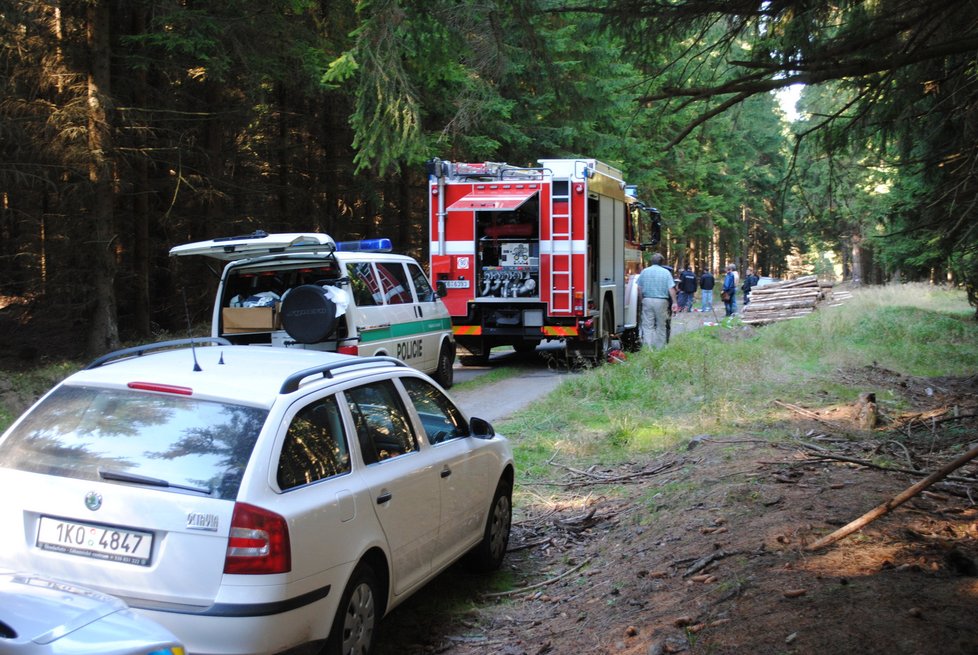 Doutnající lidské tělo zaklíněné mezi kládami dřeva našel v říjnu 2011 myslivec na pravidelné obchůzce.