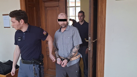 Namol opilý střelil známého do srdce: Za vraždu dostal Štefan 12 let