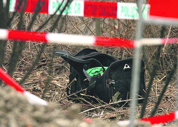 Rohanský ostrov, 29. 1. 2012:  Rozkládající se hlavu ve sportovní tašce objevili v Karlíně bezdomovci.