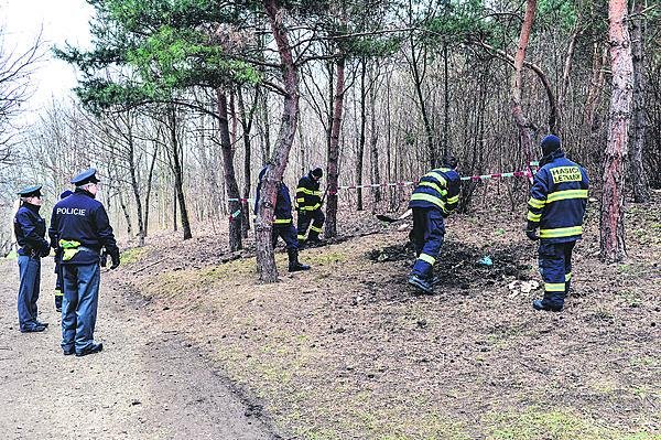 Lesopark na Krejcárku, 24. 12. 2011: Díky nálezu torza kriminalisté zjistili, že na levém rameni poblíž klíční kosti měla žena mateřské znaménko.