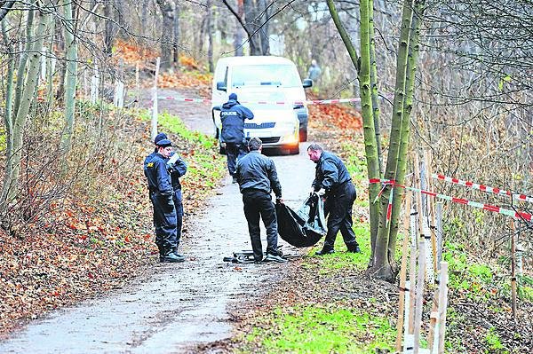 Kunratický potok, 6. 12. 2011: Jako první se našly ženiny ruce. Všiml si jich náhodný kolemjdoucí.