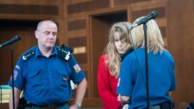 Romana Zienertová si ve vězení odpykává doživotní trest za vraždu čtyř dětí.