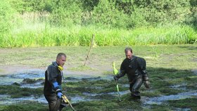 Policisté hledají v okolí místa činu vražednou zbraň