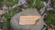 Kámen s pamětní deskou i po letech zůstává na zemi u vrby v Plzni
