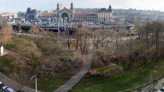 Stromy, nové vodní plochy a změna na polích. Praha se chystá na extrémní sucho