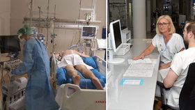 Pracoviště Anesteziologicko- -resuscitační kliniky ve Fakultní nemocnici u sv. Anny. Zde se na speciálních přístrojích léčí pacienti s nejtěžším průběhem covidu-19.