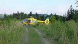 Dřevorubce v Beskydech zavalil strom: Letěl pro něj vrtulník