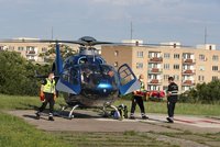 Veterináře na Klatovsku kopla do hlavy klisna: V nemocnici zemřel!