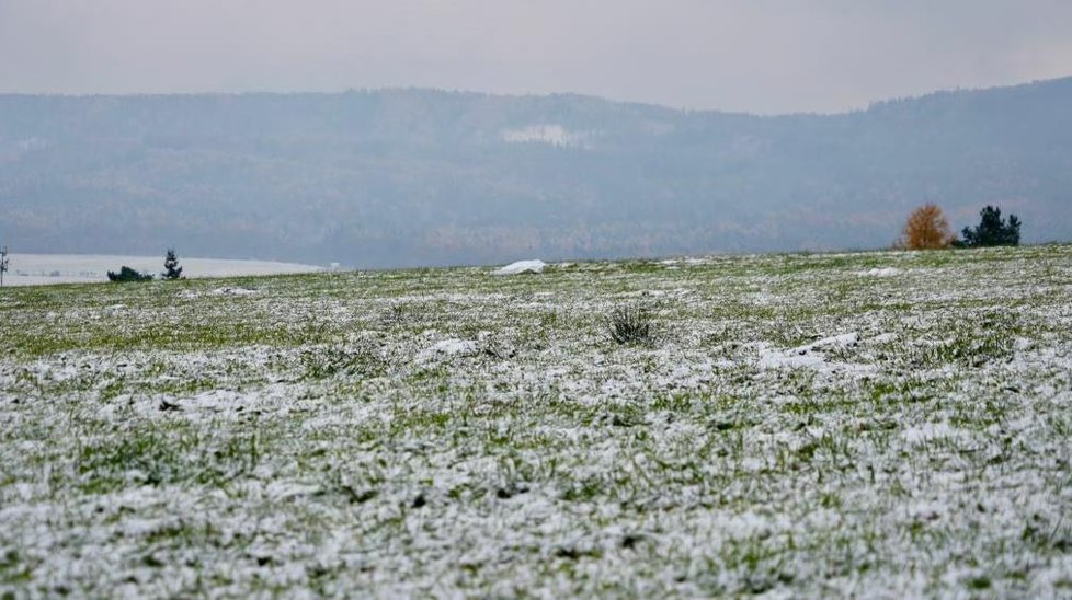 Ve Všeradicích bylo nalezeno na poli tělo 66letého pejskaře.