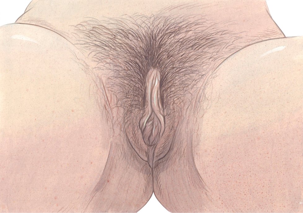 kniha vulva11