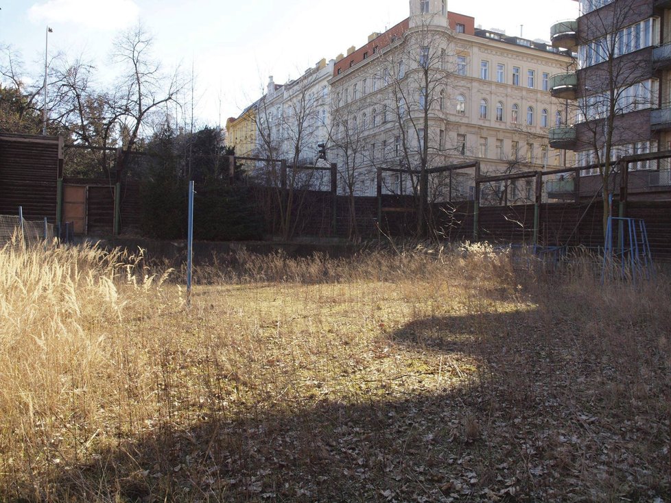 Zahrada Smetanka před zvelebením