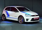 Volkswagen Polo R WRC Street bude rychlejší než Golf GTI a bude se prodávat!