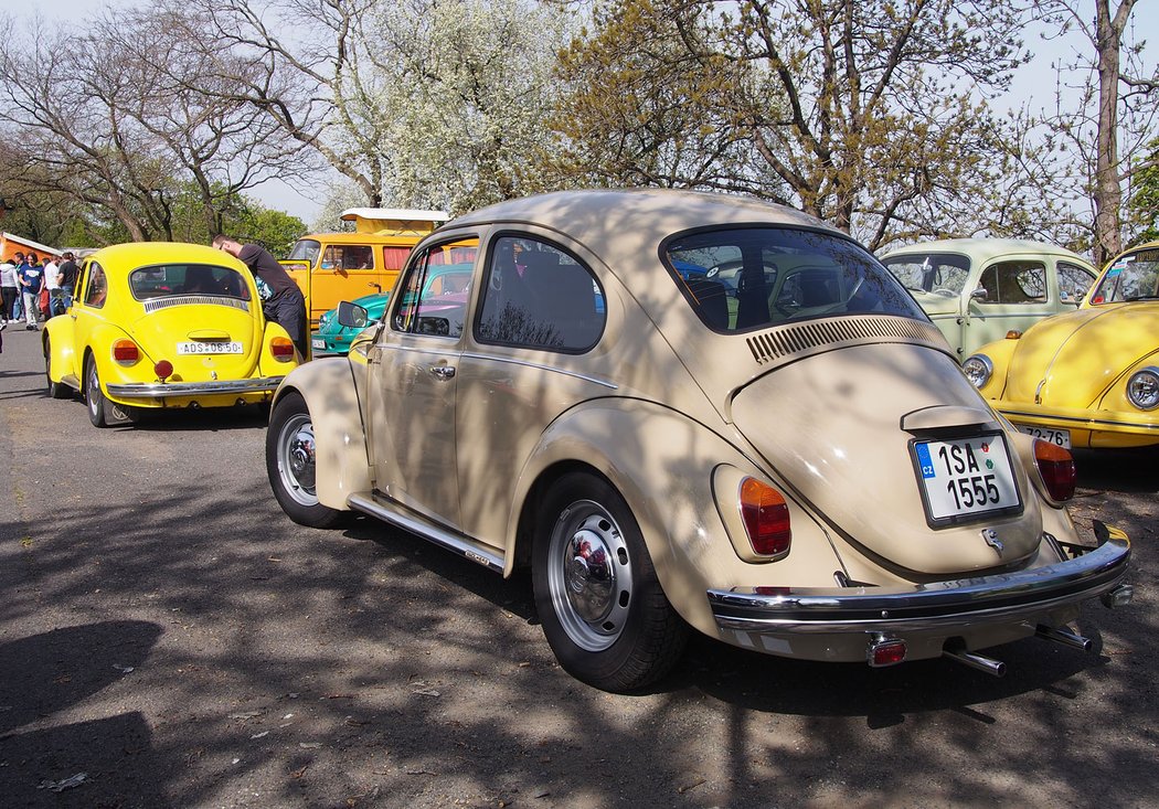 Volkswagen Beetle (původní)