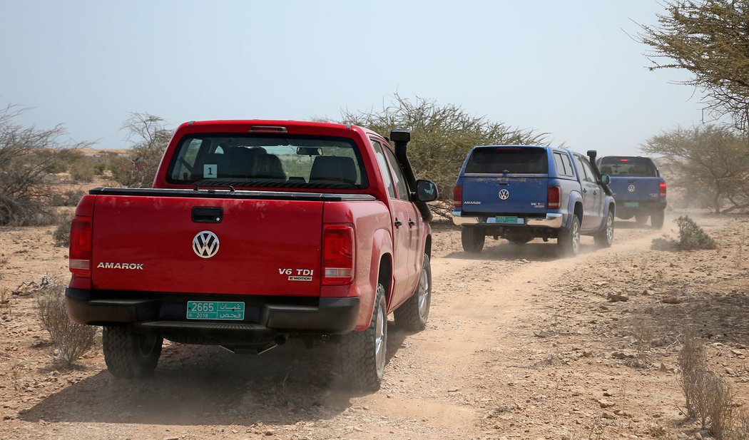 Volkswagen Amarok V6