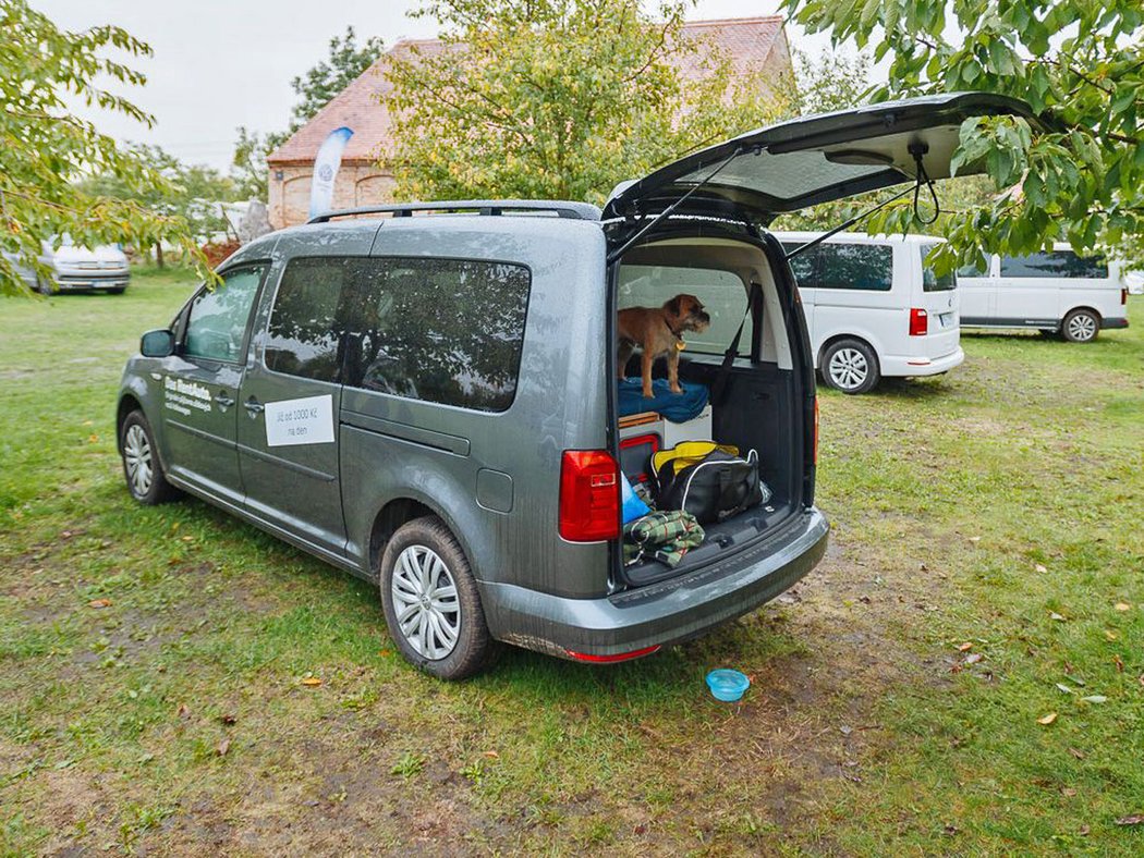 Vestavba od společnosti Nest zúročí prostor v modelu Caddy