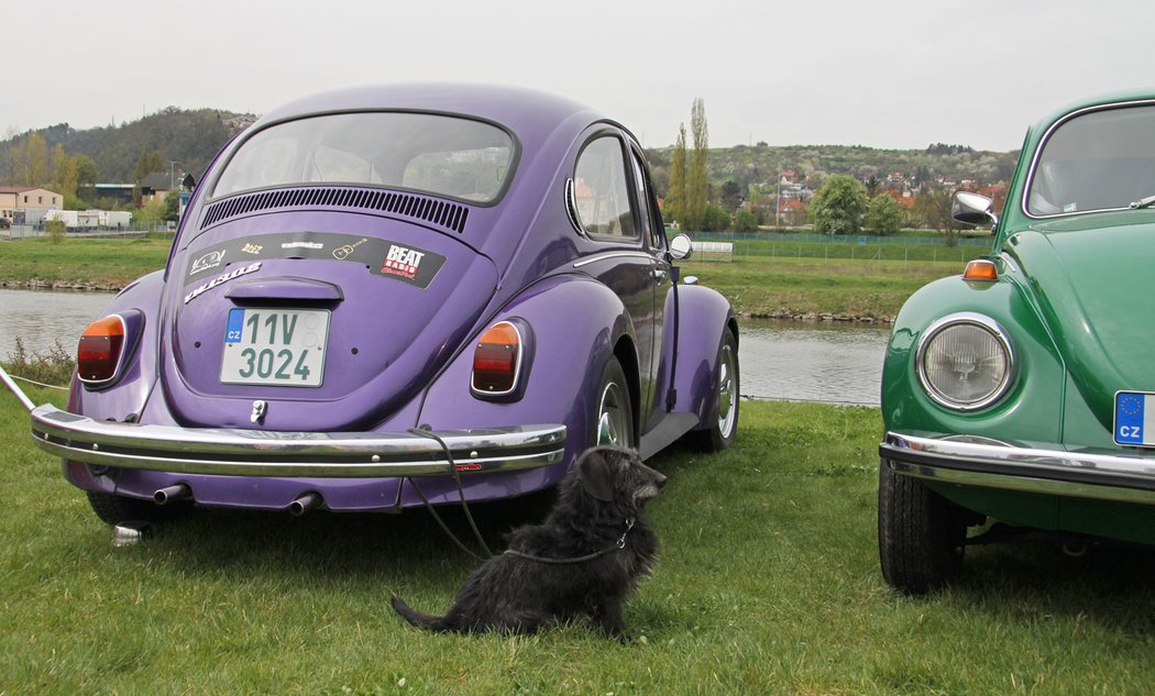 Volkswagen Beetle (původní)