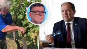 Zmatek kolem daně na tiché víno: Výborný podpořil návrh vinařů, Stanjura připustil zdanění