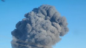 Exploze na farmě v Texasu podle úřadů usmrtila až 18 000 krav