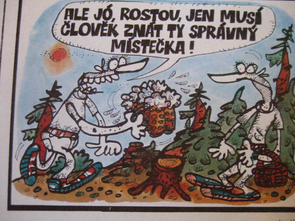 Karikatura