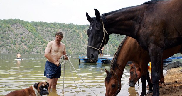 Vydra koně miluje a v létě s nimi chodí i do Slapské přehrady