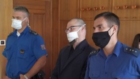 Rok vězení vyfasoval recidivista Jan Vaňouček za vyhrožování smrtí starostce Rešic na Znojemsku. Rozsudek je pravomocný.