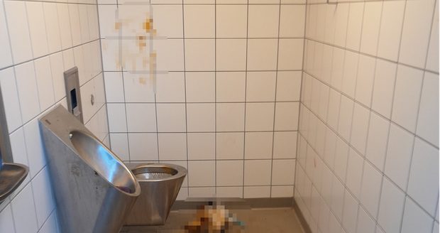 Vandal ve Strakonicích znečistil veřejné toalety.