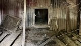 Mohla skončit na talíři, teď fenka se štěňaty vyhlíží nové páníčky