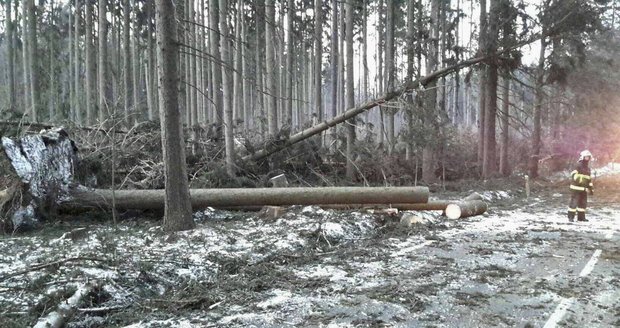 Hasiči na jižní Moravě zaznamenali od soboty stovku výjezdů. Ve více než polovině případů odstraňovali popadané stromy.