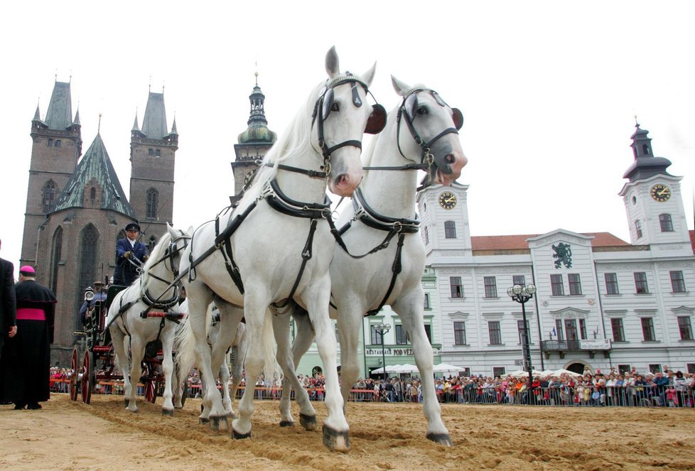 Svatováclavská přehlídka koní, Hradec Králové